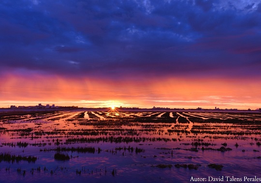 Un atardecer